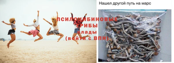 бошки Вяземский
