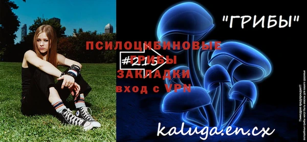 бошки Вяземский
