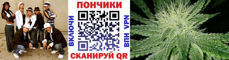 Купить закладки  Каменногорск  Каннабис гибрид 